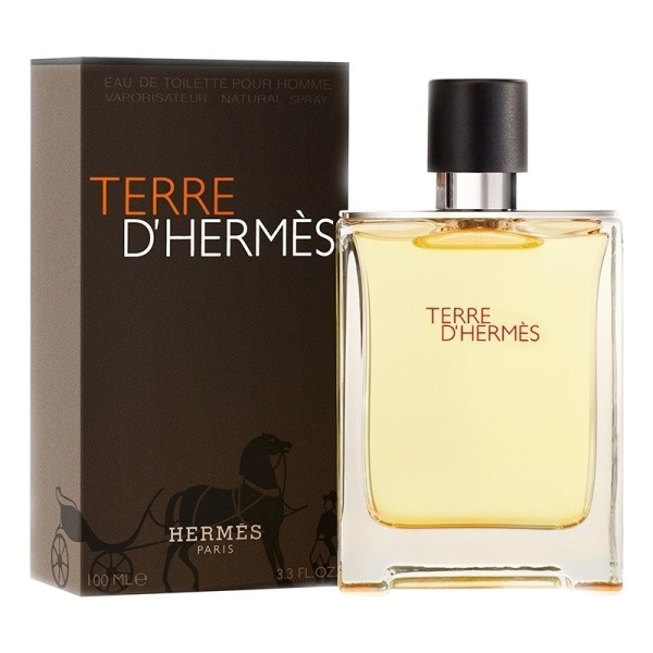 Terre d’Hermes hermès hermes парфюмерная вода terre d hermes eau intense vetiver 100