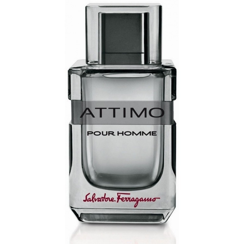 Salvatore Ferragamo Attimo pour Homme 530 5