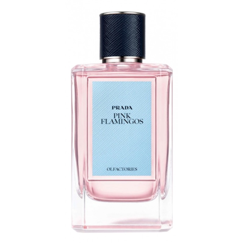 Prada pink perfume on sale