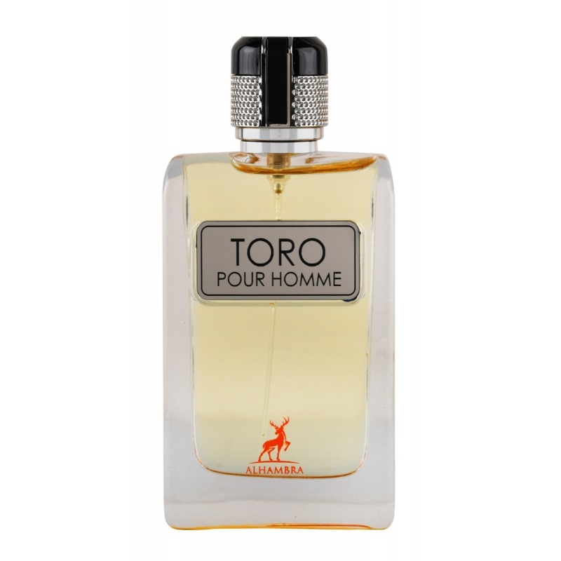 Toro pour homme. Spray Toro pour homme 100ml. Toro pour homme Alhambra. Hermes дуо. Hermes Duo.