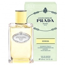 Infusion mimosa cheap prada