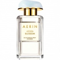 AERIN 100 26