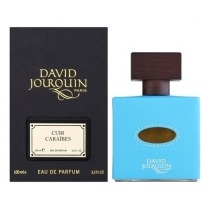 Tangerine Leather - DUA FRAGRANCES - Inspired by Cuir Mandarine David  Jourquin - Masculine Perfume - 34ml/1.1 FL OZ - Extrait De Parfum