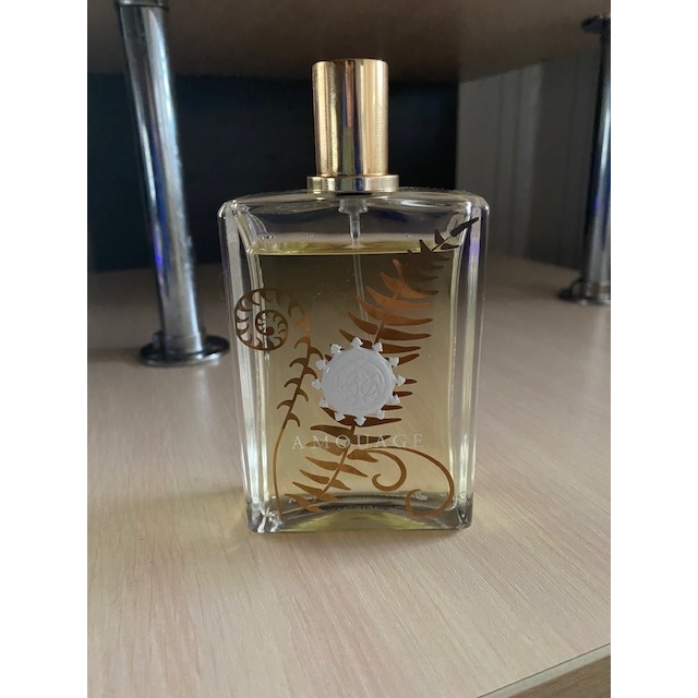 Amouage Bracken Man 680 . 2