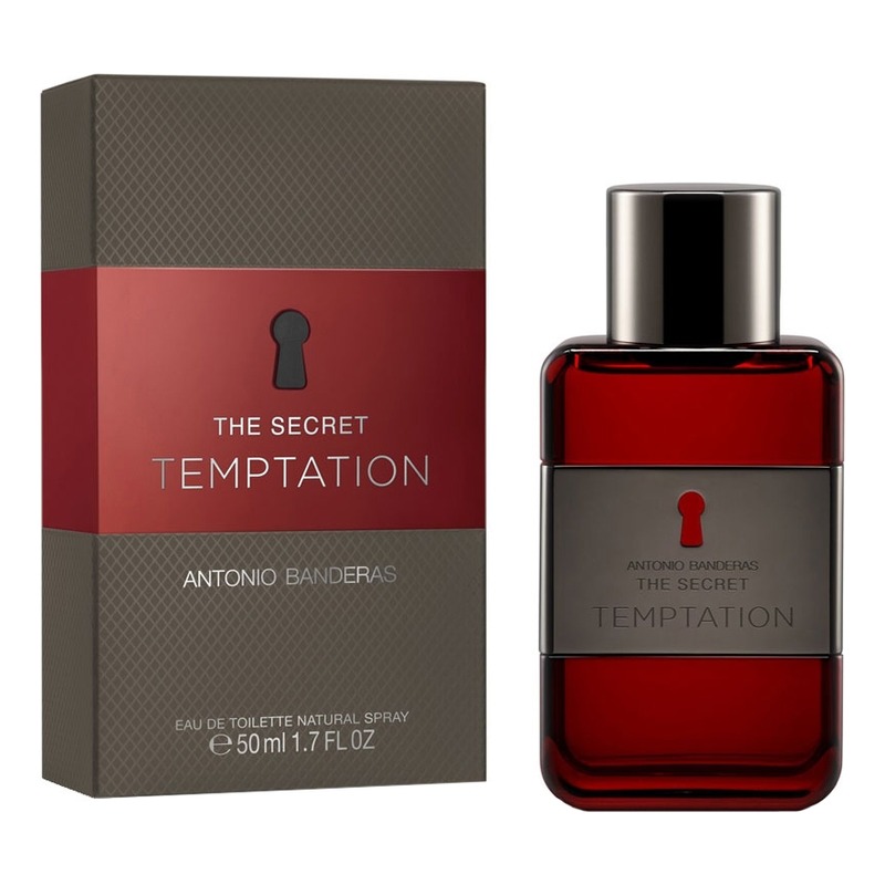 The Secret Temptation antonio banderas the secret temptation 100