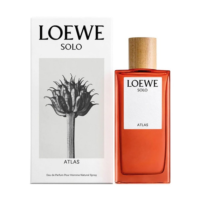 Loewe Solo Atlas - фото 1