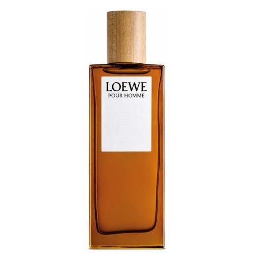 Loewe Pour Homme loewe 7 anonimo
